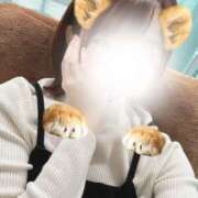 ヒメ日記 2024/12/12 10:00 投稿 川上オトハ ビギナーズエステ ROOMiE＋（ルーミープラス）