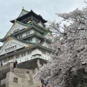 ヒメ日記 2026/04/02 10:38 投稿 川上オトハ ビギナーズエステ ROOMiE＋（ルーミープラス）