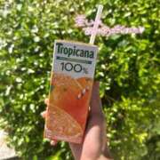 ヒメ日記 2025/05/25 20:20 投稿 速水るな グランエステ東京 品川（シンデレラグループ）