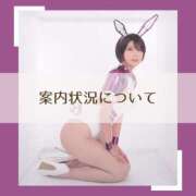 ヒメ日記 2025/04/01 14:00 投稿 鞠子（まりこ） 女々艶 大和店