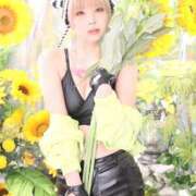 ヒメ日記 2025/04/14 06:45 投稿 鞠子（まりこ） 女々艶 大和店