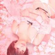 ヒメ日記 2025/04/14 14:00 投稿 鞠子（まりこ） 女々艶 大和店