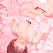 ヒメ日記 2025/04/28 09:01 投稿 鞠子（まりこ） 女々艶 大和店