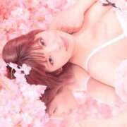 ヒメ日記 2025/07/09 20:30 投稿 鞠子（まりこ） 女々艶 大和店