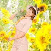 ヒメ日記 2025/07/12 07:02 投稿 鞠子（まりこ） 女々艶 大和店