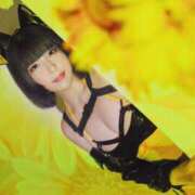 ヒメ日記 2025/11/02 09:01 投稿 鞠子（まりこ） 女々艶 大和店