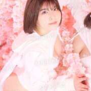 ヒメ日記 2026/04/17 20:53 投稿 鞠子（まりこ） 女々艶 大和店