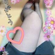 ヒメ日記 2025/03/24 20:15 投稿 ニコ 加古川10,000円ポッキー