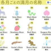 ヒメ日記 2025/04/13 22:39 投稿 まりこ★人妻KISS★ 人妻kiss