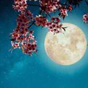 ヒメ日記 2025/05/12 23:00 投稿 まりこ★人妻KISS★ 人妻kiss