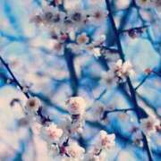 ヒメ日記 2025/03/11 08:45 投稿 梨乃 出会い系人妻ネットワーク 上野〜大塚編