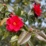 ヒメ日記 2025/03/20 08:29 投稿 梨乃 出会い系人妻ネットワーク 上野〜大塚編