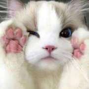 あまね 最悪 お姉さんSelect