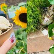 ヒメ日記 2025/08/15 12:27 投稿 篠宮　みづき 三ツ星Class