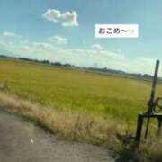 ヒメ日記 2025/11/28 07:06 投稿 かえで 新潟デリヘル倶楽部