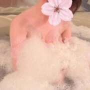 ヒメ日記 2026/04/03 06:46 投稿 かえで 新潟デリヘル倶楽部