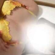 ヒメ日記 2025/11/19 11:36 投稿 せいな(9000) 原価デリヘルcospa（コスパ）