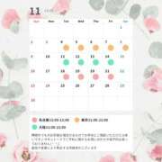 紫 エリー 11月のスケジュール 横浜貴楼館