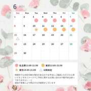 ヒメ日記 2025/04/24 20:25 投稿 紫 エリー 東京貴楼館