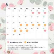 紫 エリー 6月のスケジュール 東京貴楼館