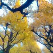 ヒメ日記 2024/12/12 21:03 投稿 なぎ ごほうびSPA上野店