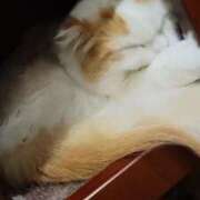 ヒメ日記 2025/12/07 10:34 投稿 海未 Porn HAREM 熊谷店