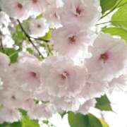 ヒメ日記 2026/04/07 21:24 投稿 海未 Porn HAREM 熊谷店