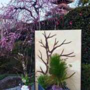 ヒメ日記 2025/03/11 20:57 投稿 みどり アロマ＆アロマ