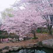 ヒメ日記 2025/04/06 13:17 投稿 みどり アロマ＆アロマ