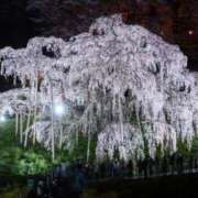 ヒメ日記 2026/04/10 21:17 投稿 みどり アロマ＆アロマ