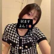 ヒメ日記 2025/02/03 16:01 投稿 ニイナ ラブコレクション