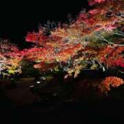 ヒメ日記 2025/12/10 16:16 投稿 ニイナ ラブコレクション