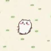 ヒメ日記 2025/03/09 11:26 投稿 ねる 恵比寿ニューヨーク