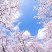 ヒメ日記 2025/03/30 09:01 投稿 ねる 恵比寿ニューヨーク