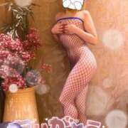 ヒメ日記 2026/02/18 11:34 投稿 れん One More 奥様　西船橋店