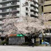 ヒメ日記 2025/04/05 12:50 投稿 山下（やました） 丸妻 錦糸町店