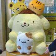 ヒメ日記 2025/03/12 19:54 投稿 しいな 脱がされたい人妻 町田・相模原店