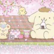 ヒメ日記 2025/04/14 12:17 投稿 しいな 脱がされたい人妻 町田・相模原店