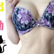 ヒメ日記 2025/04/17 12:04 投稿 しいな 脱がされたい人妻 町田・相模原店