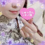 ヒメ日記 2025/05/22 12:07 投稿 しいな 脱がされたい人妻 町田・相模原店