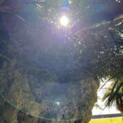 ヒメ日記 2025/02/16 13:35 投稿 りら 奥鉄オクテツ兵庫