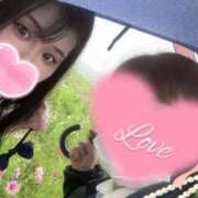 ヒメ日記 2026/01/29 03:52 投稿 みりむ ドMバスターズ 京都店