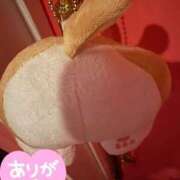 ヒメ日記 2025/11/21 10:24 投稿 あんじゅ マリンマリン