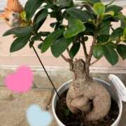 ヒメ日記 2025/01/27 14:05 投稿 杉浦 HERMINE-エルミネ-