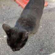 ヒメ日記 2025/02/03 14:13 投稿 杉浦 HERMINE-エルミネ-