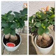 ヒメ日記 2025/03/02 09:53 投稿 杉浦 HERMINE-エルミネ-