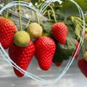 ヒメ日記 2025/03/10 13:55 投稿 杉浦 HERMINE-エルミネ-