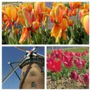 ヒメ日記 2025/04/07 15:33 投稿 杉浦 HERMINE-エルミネ-