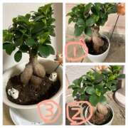 ヒメ日記 2025/04/07 23:28 投稿 杉浦 HERMINE-エルミネ-