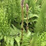 ヒメ日記 2025/04/15 09:01 投稿 杉浦 HERMINE-エルミネ-